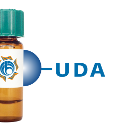 Urtica dioica Lectin (UDA) - Separopore&reg; 4B