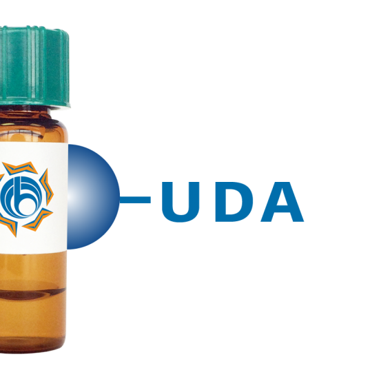 Urtica dioica Lectin (UDA) - Separopore&reg; 4B