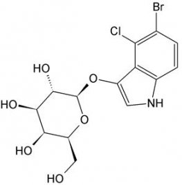 X-Gal Solution, 50mg/mL in DMF
