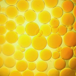 Yellow Separopore&reg; 4B-CL