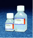 AMP Separopore&reg; 4B-CL