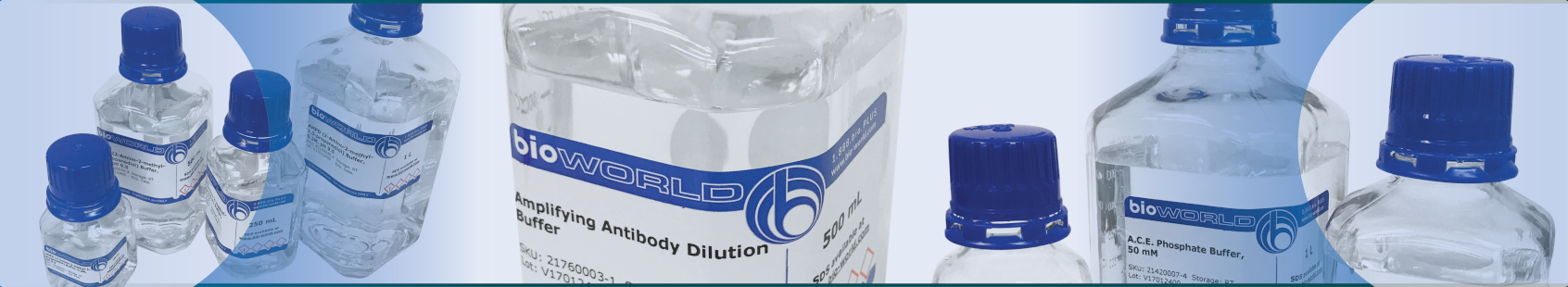Buffers and Reagents