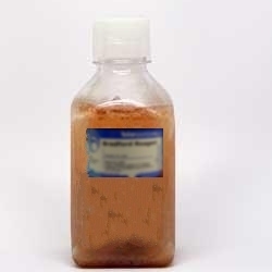 Calf Serum, Sterile-Filtered, 0.2 micron