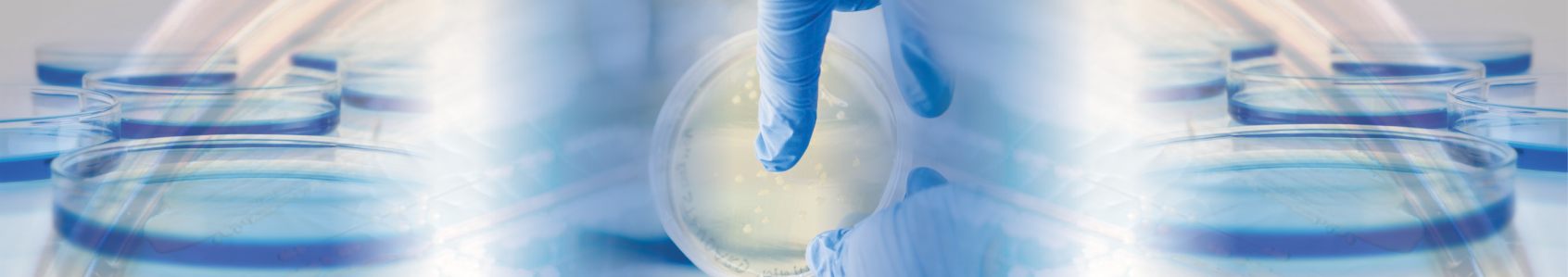 Cellular Biology