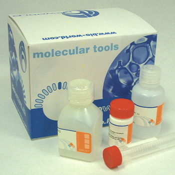 Column-protein-concentrate Kit