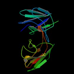 Conalbumin, Ovotransferrin
