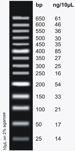 DNA Ladder Minisizer (25-650bp)