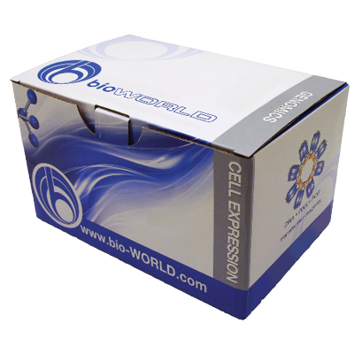 DNA/ RNA Kits