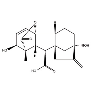 100g  99% Pure Gibberellic acid GA3 Kit With Instructions BR Biological Grade