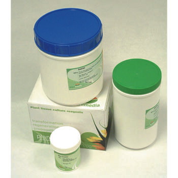 MacConkey Agar, CS