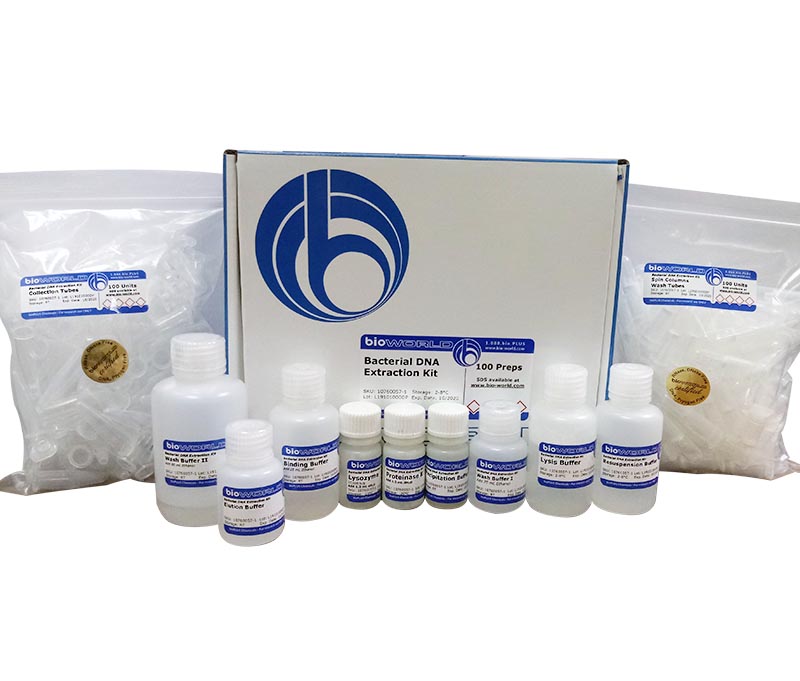 Bacterial DNA Extraction Kit 262.24 bioWORLD