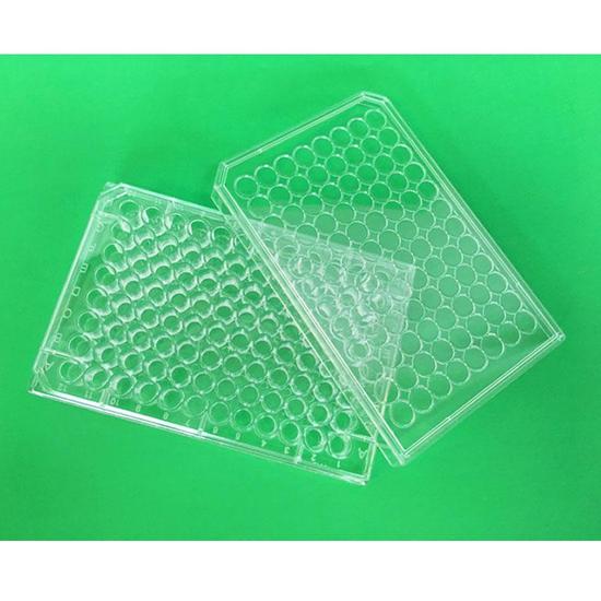 Poly-L-Lysine Coated Microplates