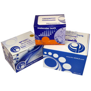 Protein Kits