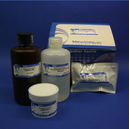 RNA Electrophoresis Kit