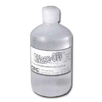 RNase-Off Kit