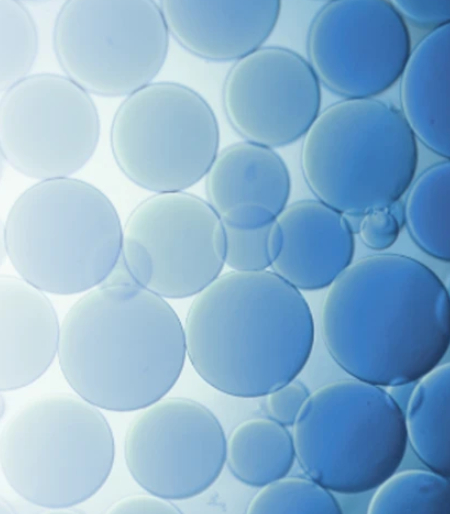 Separopore® Agarose Beads