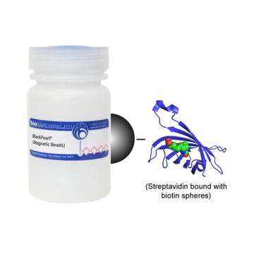 StrepTalon™ Streptavidin Magnetic Beads
