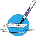 Super HT&trade; MiniPap Pen Slide Marker