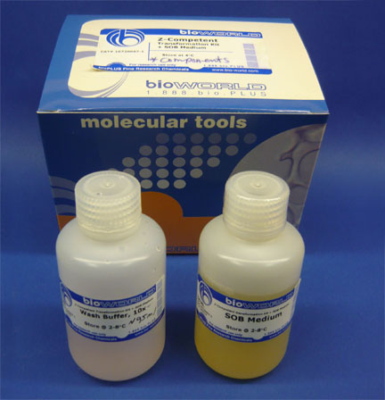 Z-Competent Transformation Kit