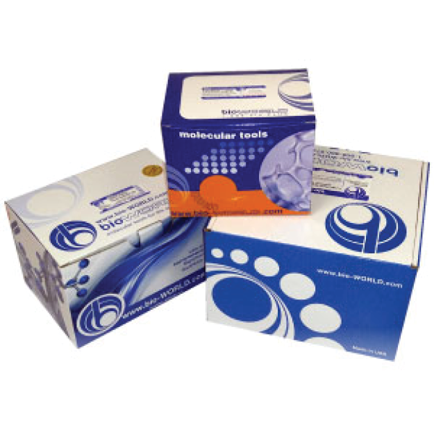 ELISA-assay-Box.png
