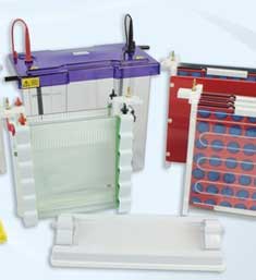 Electrophoresis
