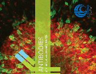 Bioworld Antibodies