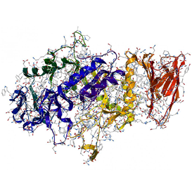 Proteins & Enzymes